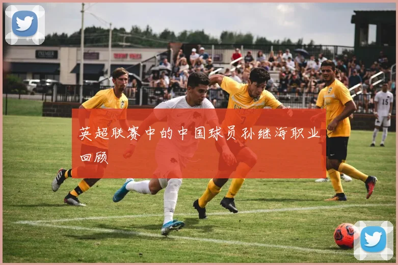 英超联赛中的中国球员孙继海职业回顾