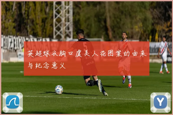 英超球衣胸口虞美人花图案的由来与纪念意义