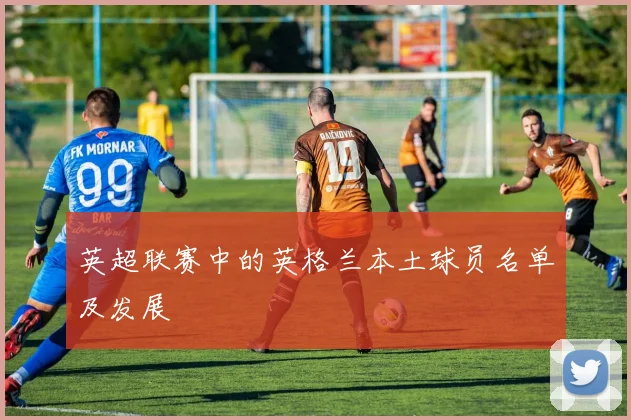 英超联赛中的英格兰本土球员名单及发展