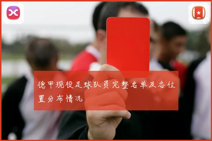 德甲现役足球队员完整名单及各位置分布情况
