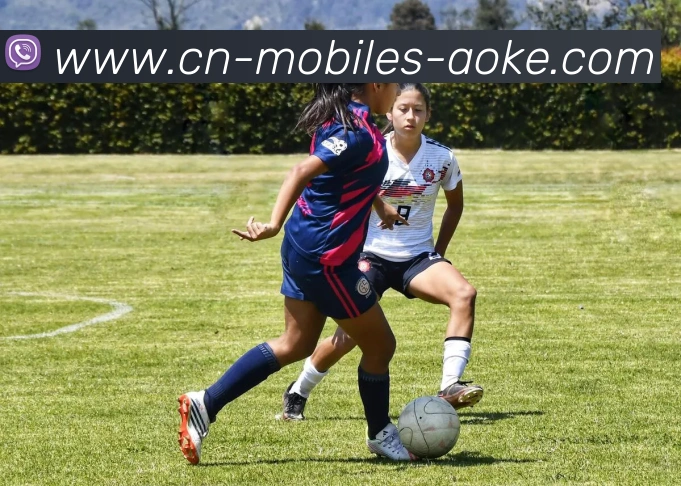 澳客足彩平台生态图