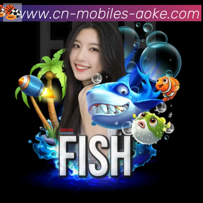 未来规划